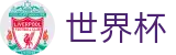 2026世界杯投注平台(World Cup2026)官方合作平台